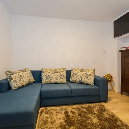 Casa Zen Apartment Brasov