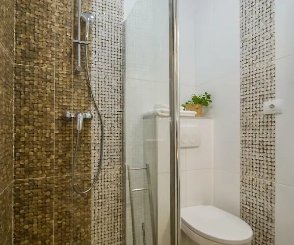 Apartment Casa Zen Brasov