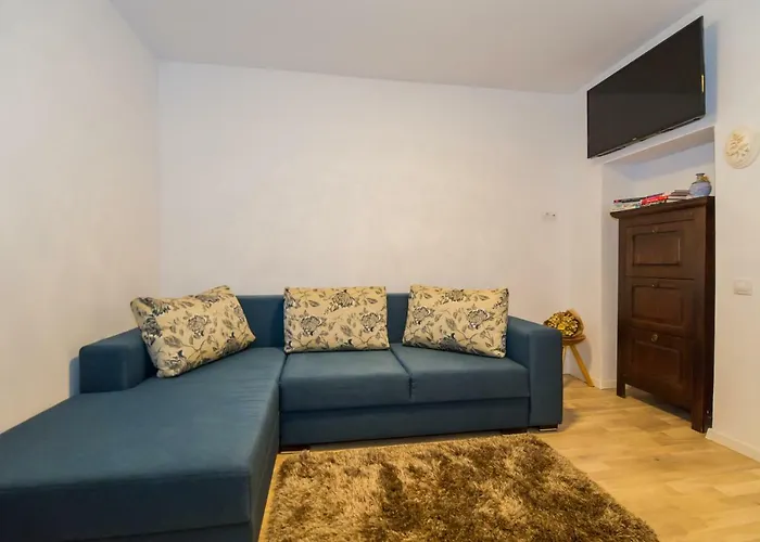 Casa Zen 公寓 布拉索夫