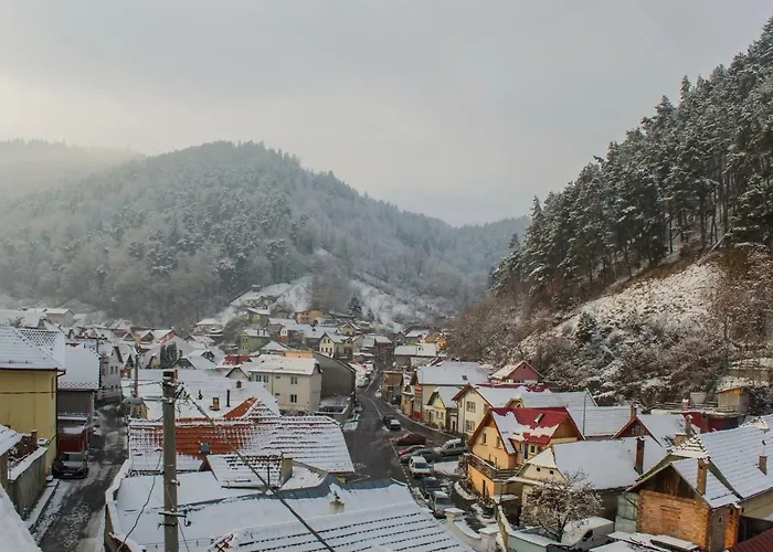 Casa Zen 公寓 布拉索夫