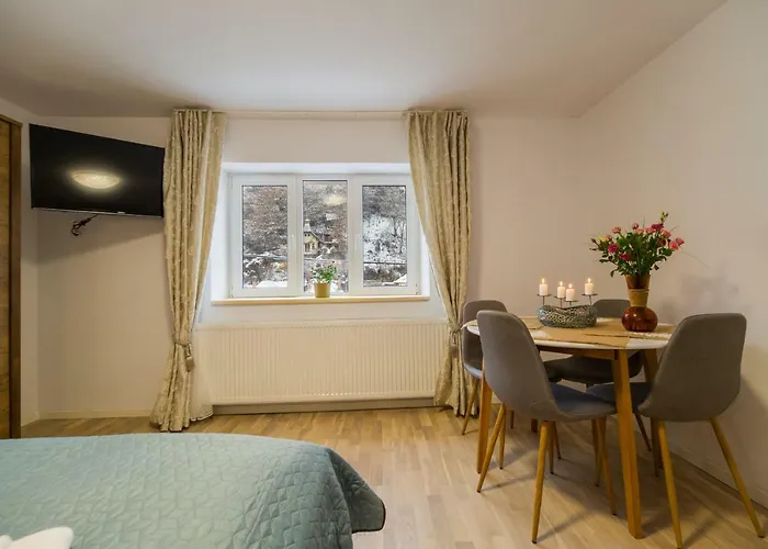 Apartment Casa Zen Brasov